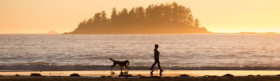 Lady and a dog walking on a beach at sunset.